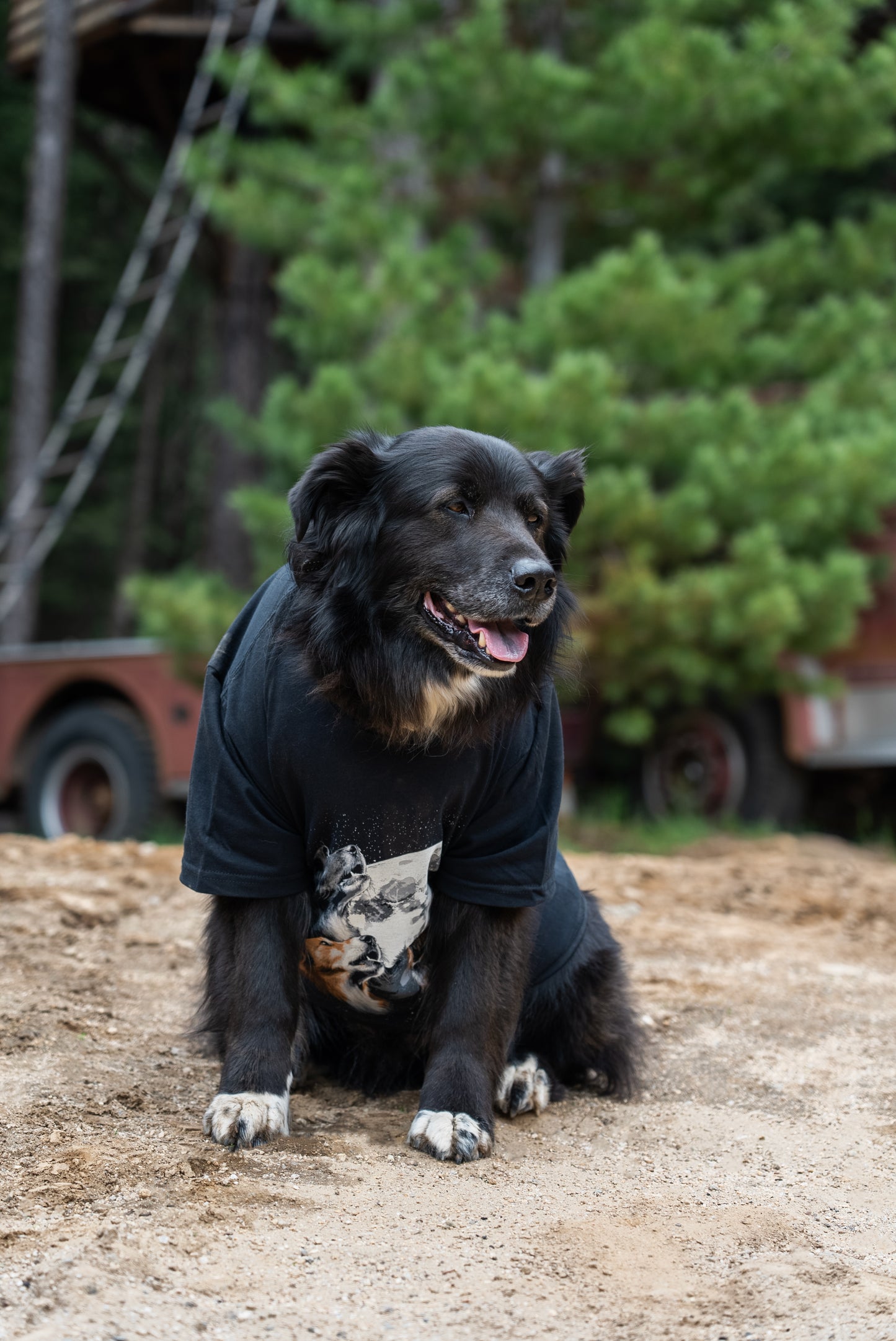 SPIRIT DOGS SHIRT
