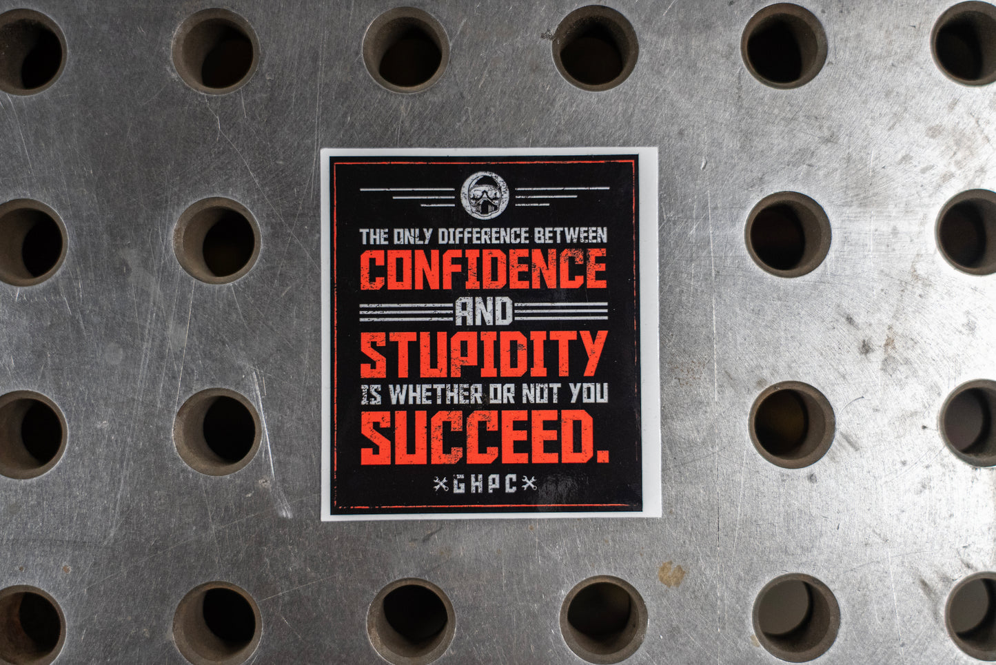 Stupidity Decal
