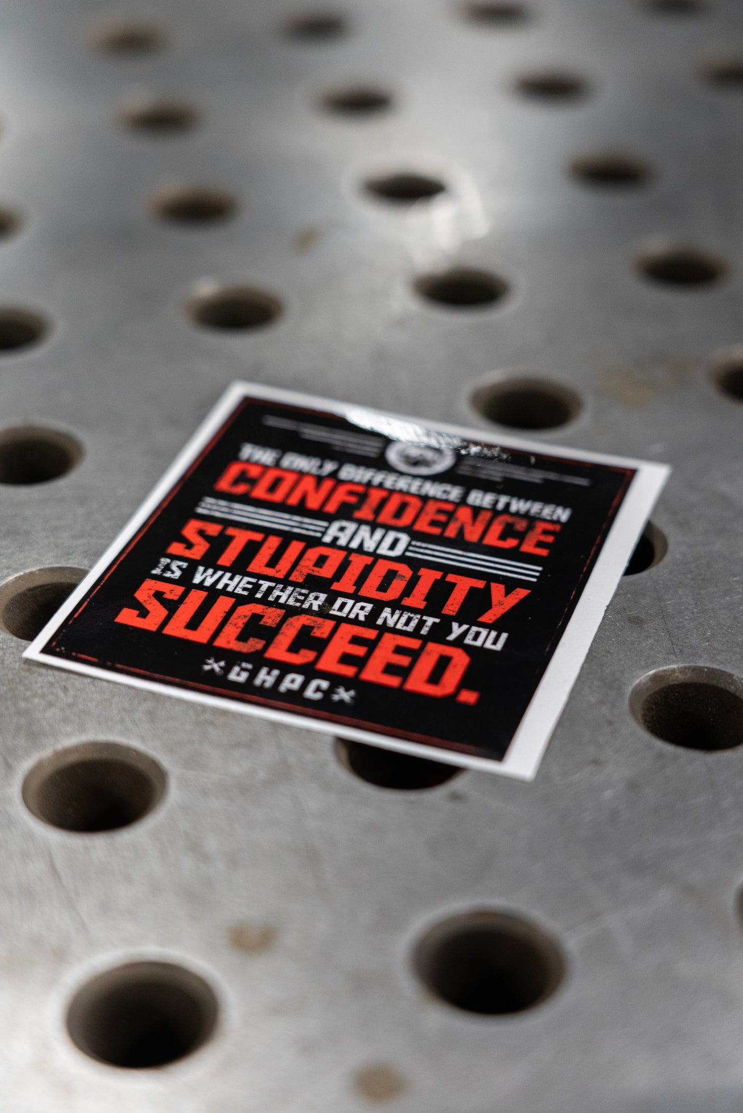 Stupidity Decal